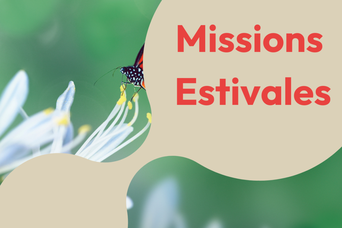 Missions Estivales