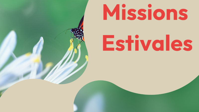 Missions Estivales