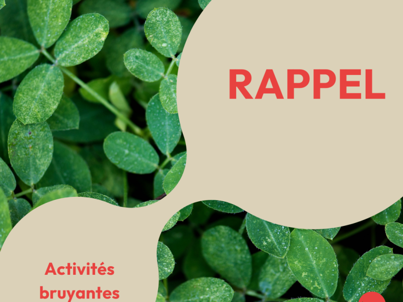 Activités bruyantes : rappel